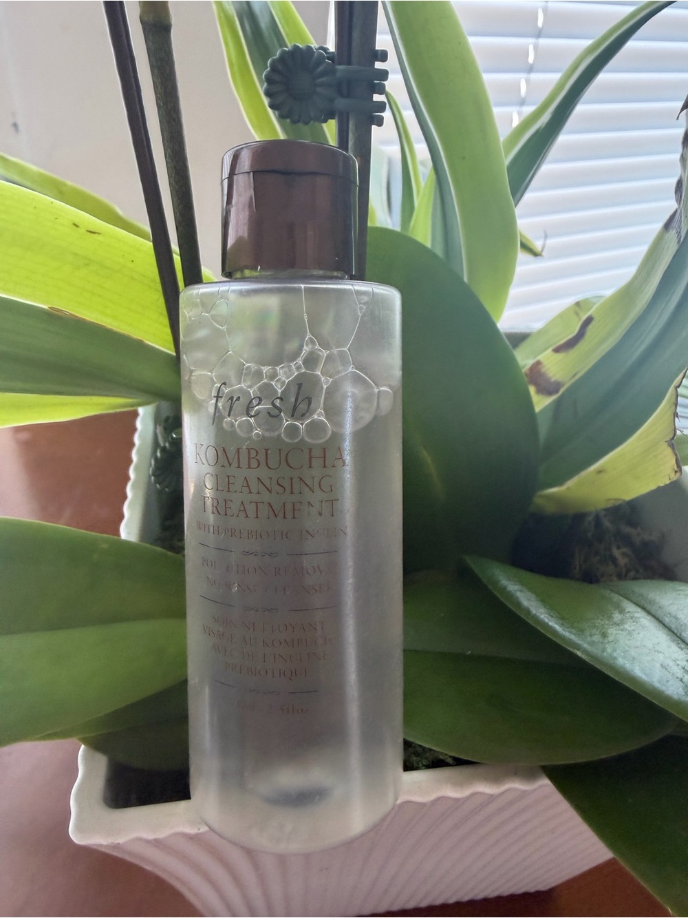 fresh Kombucha Cleansing Treatment - Clear Bottle with Brown Cap